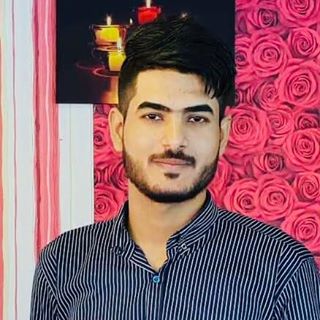 محمد الميرزا